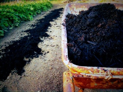 バーク堆肥　テルってる畑。　　compost